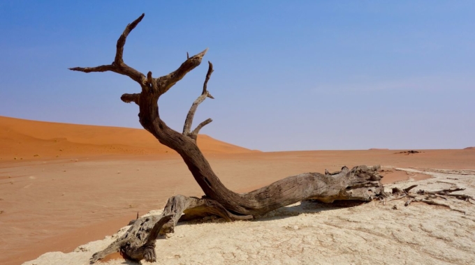 Expertise H2020 – Services climatiques pour l’Afrique