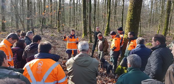 Gestion durable des sols et de l’exploitation forestière